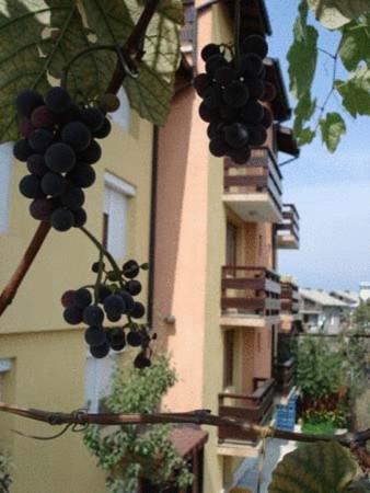Маврикова Къща Hotel Банско Екстериор снимка